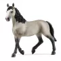schleich HORSE CLUB Selle Français Mare, 5 metų, Arkliai, Juoda, Pilka, Plastikas