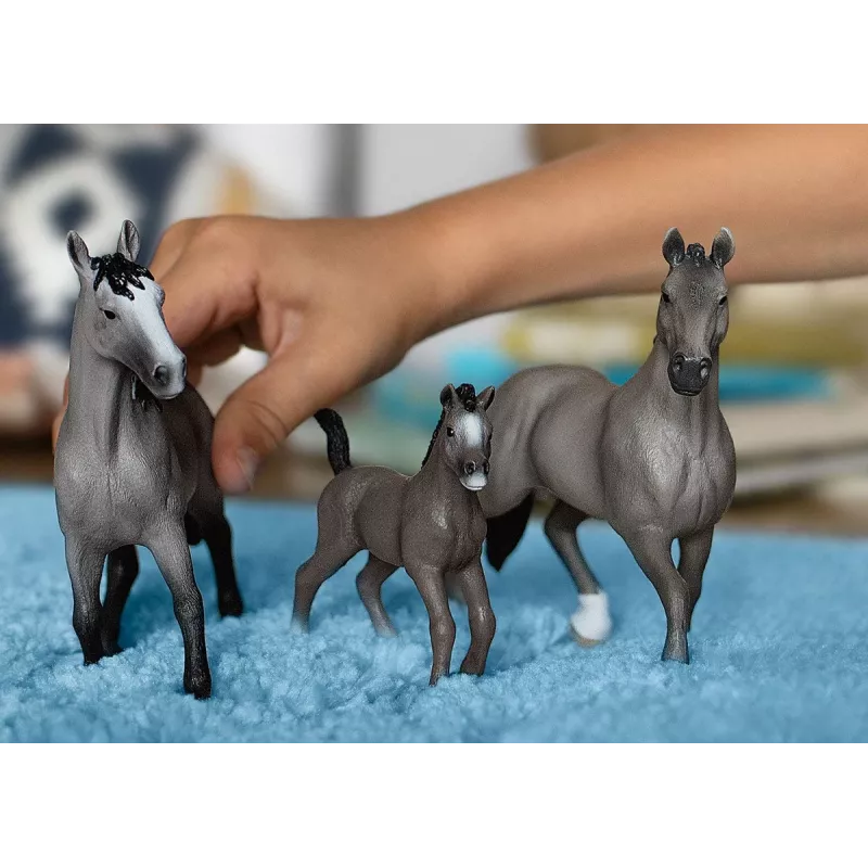 schleich HORSE CLUB Selle Français Mare, 5 metų, Arkliai, Juoda, Pilka, Plastikas