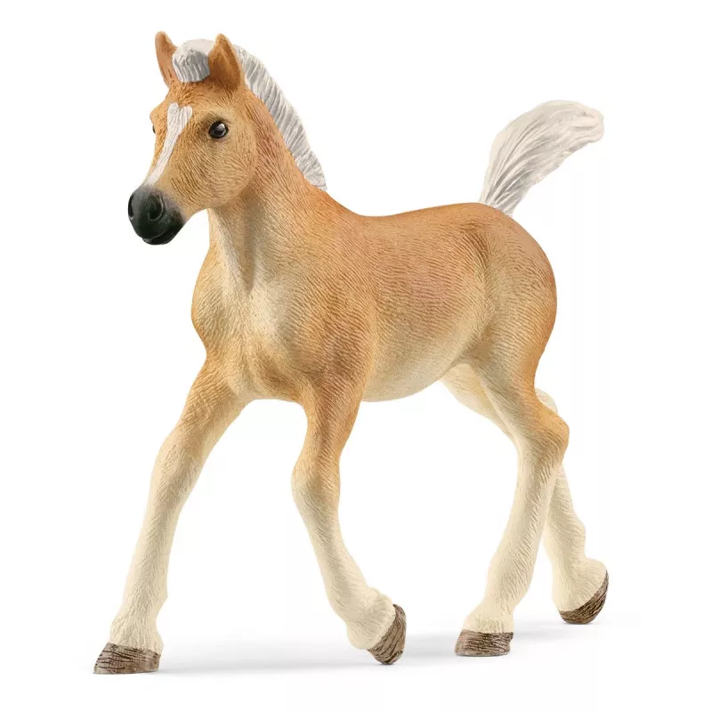 schleich HORSE CLUB Haflinger kumeliukas, 5 m., arkliai, smėlio, rudos spalvos, plastikas