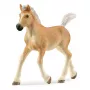 schleich HORSE CLUB Haflinger kumeliukas, 5 m., arkliai, smėlio, rudos spalvos, plastikas