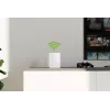 Devolo WiFi 6 kartotuvas 5400 Tinklo kartotuvas 5400 Mbit/s Dviejų dažnių