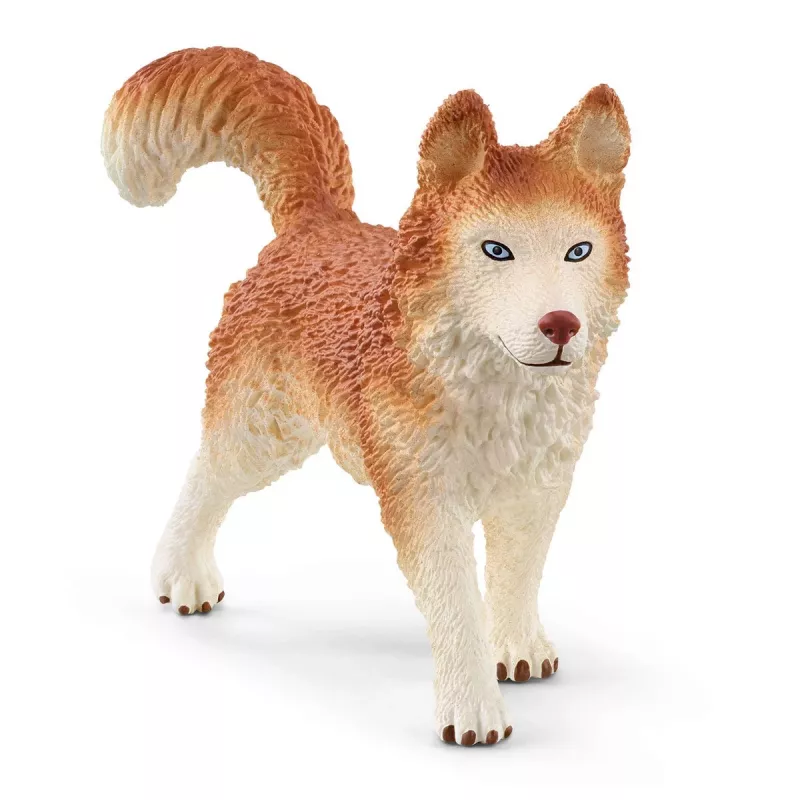 Zoo Schleich WILD LIFE Antarkties ekspedicija Daugiaspalvė 42558