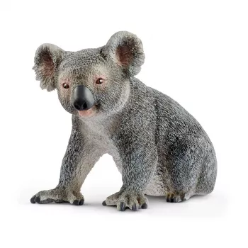 schleich WILD LIFE Koala, 3 m., Džiunglės, Laukiniai gyvūnai / nuotykių žaislai, Įvairiaspalvis, Plastikas, 1 vnt.