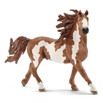 Schleich FARM WORLD Pinto eržilas, 3 metai, Ūkio gyvūnai / ūkio žaislai, Arkliai, Įvairiaspalvis, Plastikas, 1 vnt.
