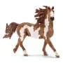 Schleich FARM WORLD Pinto eržilas, 3 metai, Ūkio gyvūnai / ūkio žaislai, Arkliai, Įvairiaspalvis, Plastikas, 1 vnt.