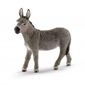 schleich FARM WORLD Asilas, 3 metai, Ūkis, Ūkio gyvūnai / ūkio žaislai, Įvairiaspalvis, Plastikas, 1 vnt.