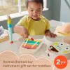 Mattel muzikinis dovanų rinkinys su mediniais instrumentais mažyliams