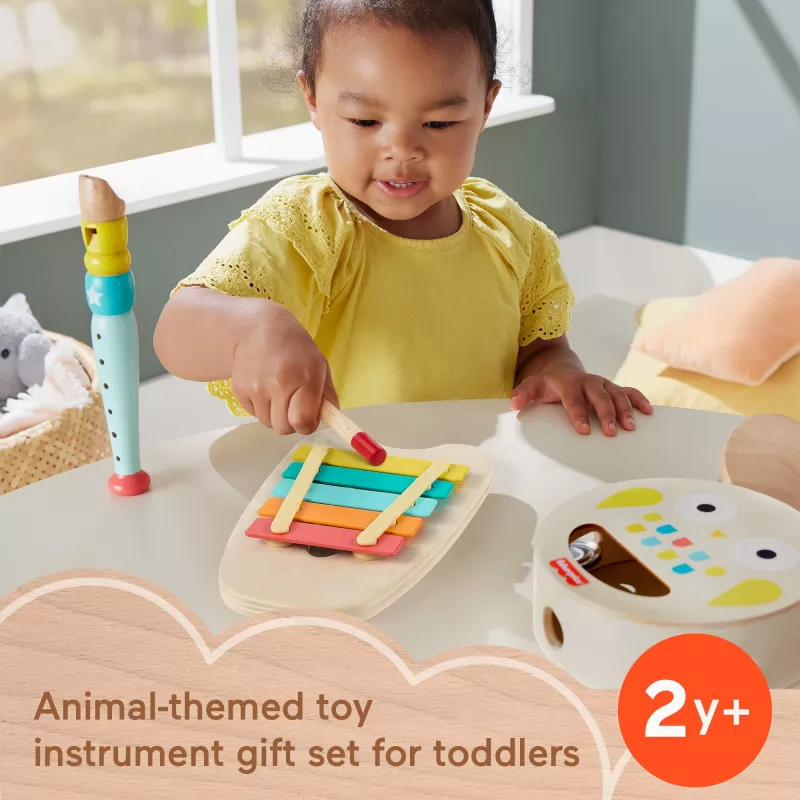 Mattel muzikinis dovanų rinkinys su mediniais instrumentais mažyliams