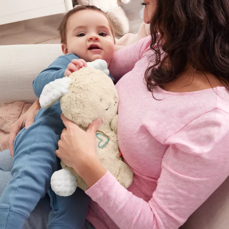 Fisher-Price Soothe & Settle Bunny pliušinis kūdikio žaislas ir pritaikomas garso aparatas su judesiu