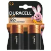 Duracell Plus 100 D vienkartinė baterija šarminė