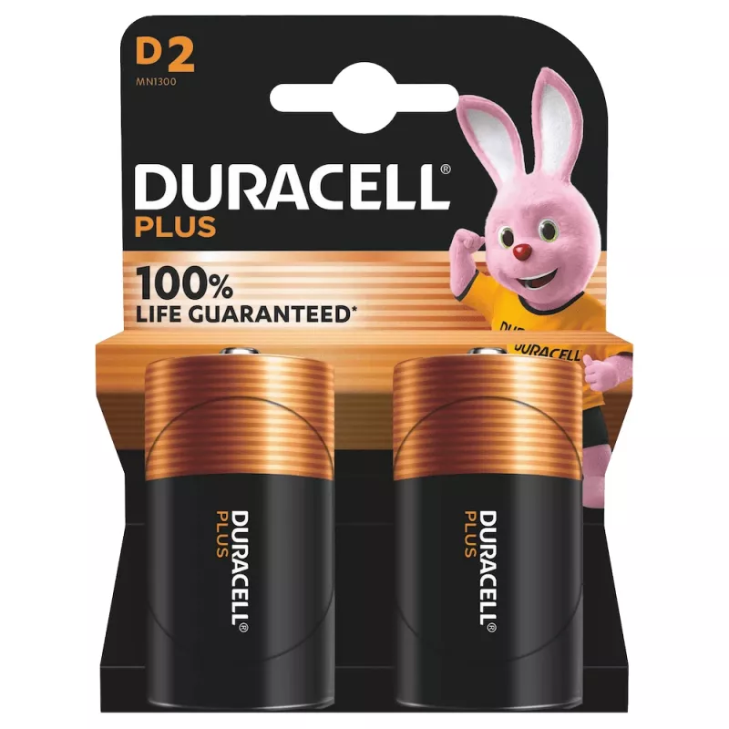 Duracell Plus 100 D vienkartinė baterija šarminė