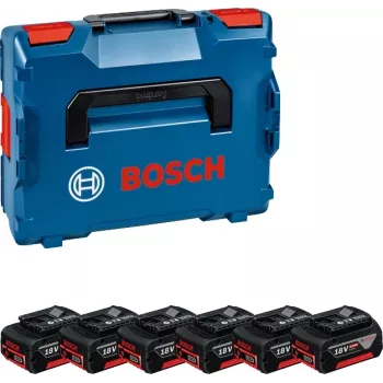 Bosch 1 600 A02 A2S belaidžio įrankio akumuliatorius / įkroviklis