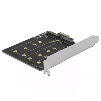 Vidinis M.2 adapteris DeLOCK 90432