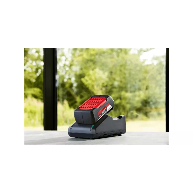Bosch F016800609 belaidžių įrankių baterija / įkroviklis Baterijos ir įkroviklio rinkinys
