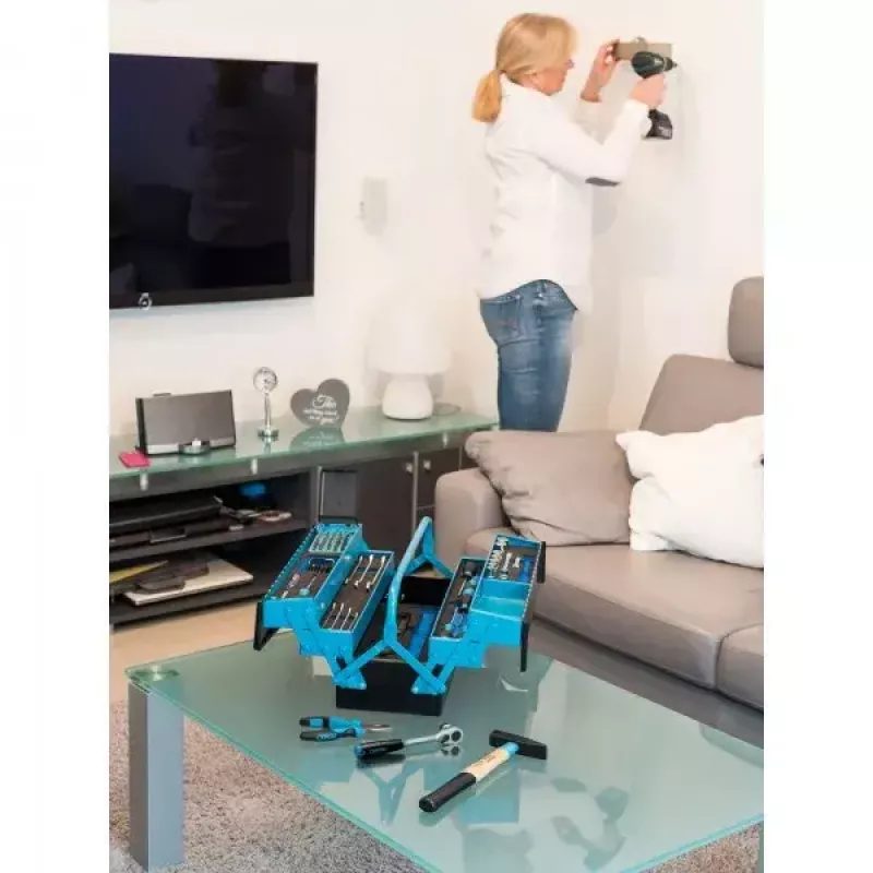 HAZET 190/79 mechaniko įrankių rinkinys, 79 įrankiai