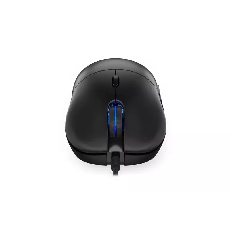 Pelė ENDORFY GEM Plus USB Type-C optinė 19000 DPI