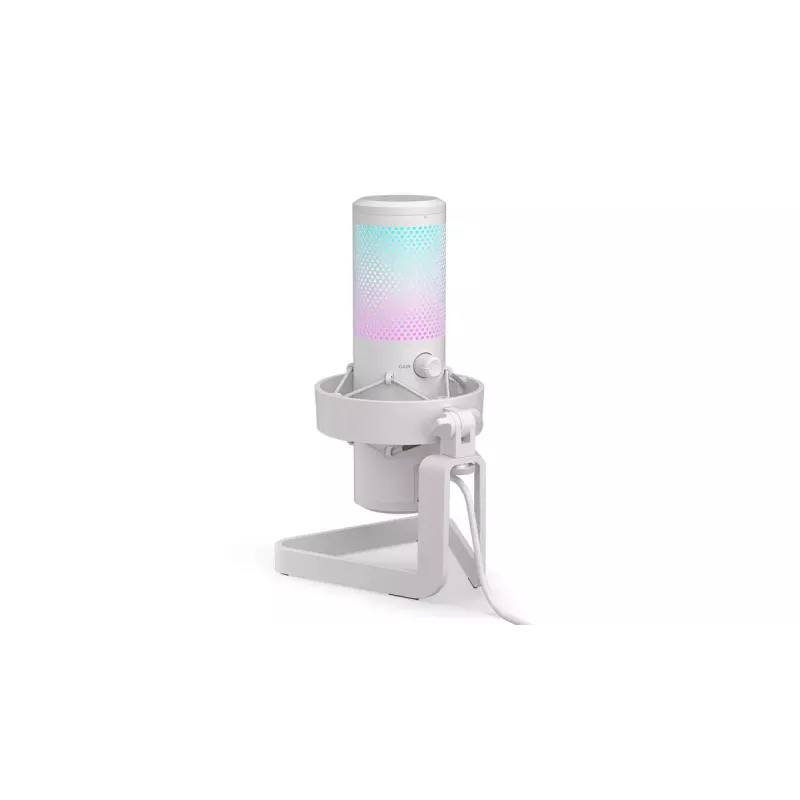 PC mikrofonas ENDORFY AXIS Streaming White — USB, kardioidinis, 30–18 kHz, 192 kHz/24 bitų, stalinis stovas, nutildymas, ausinių išvestis
