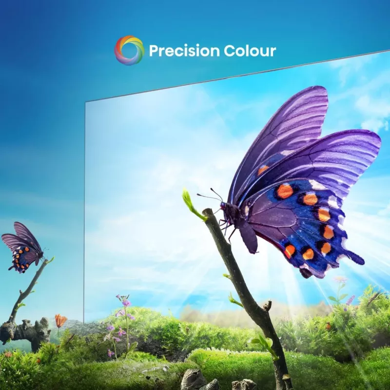 Hisense 58E6NT 147,3 cm (58 colių) 4K Ultra HD išmanusis televizorius Wi-Fi juodas 300 cd/m²
