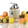 Elektrinė citrusinių vaisių spaustuvė Ariete 0413/03 0,6 l 85 W Smėlinė