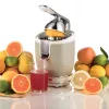 Elektrinė citrusinių vaisių spaustuvė Ariete 0413/03 0,6 l 85 W Smėlinė