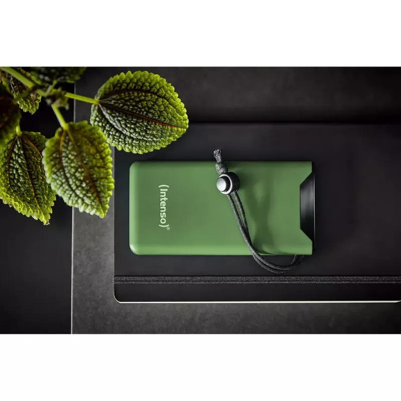 Nešiojamoji išorinė baterija Intenso 7332037 10000 mAh