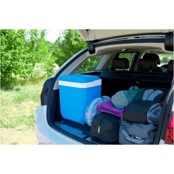 Aušinimo dėžė Campingaz Icetime Plus 26L mėlyna