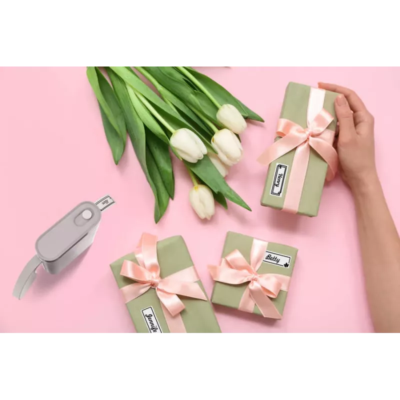 Peach PE110 etikečių spausdintuvas Tiesioginis terminis 203 x 203 DPI 60 mm/sek Belaidis Bluetooth