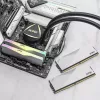 DIMM 64 GB DDR5-6000 (2x 32 GB) Dual-Kit, Arbeitsspeicher weiß, AX5U6000C3032G-DCLARWH, Lancer RGB, INTEL XMP