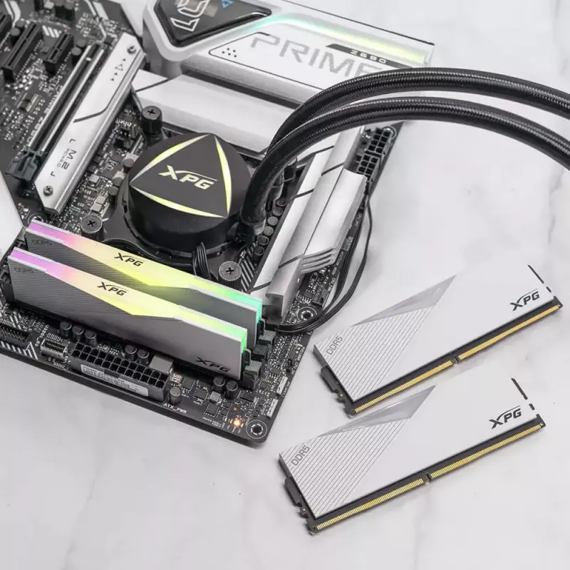 DIMM 64 GB DDR5-6000 (2x 32 GB) Dual-Kit, Arbeitsspeicher weiß, AX5U6000C3032G-DCLARWH, Lancer RGB, INTEL XMP