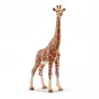 Figūrėlė, Schleich, WILD LIFE Žirafa, patelė