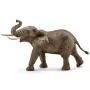 Schleich WILD LIFE Afrikinis dramblys, patinas, 3 m., Safaris, Laukiniai gyvūnai / nuotykių žaislai, Įvairiaspalvis, Plastikas, 1 vnt.