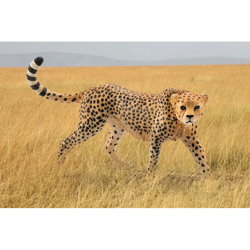 Figūrėlė Schleich WILD LIFE gepardė patelė 14746