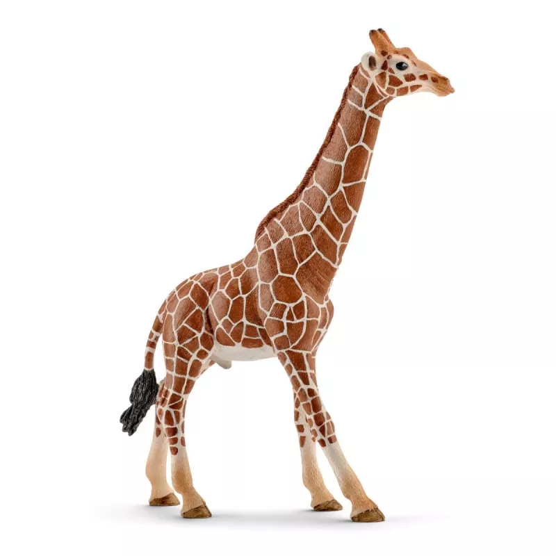 Figūrėlė Schleich WILD LIFE Giraffe patinas