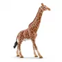 Figūrėlė Schleich WILD LIFE Giraffe patinas