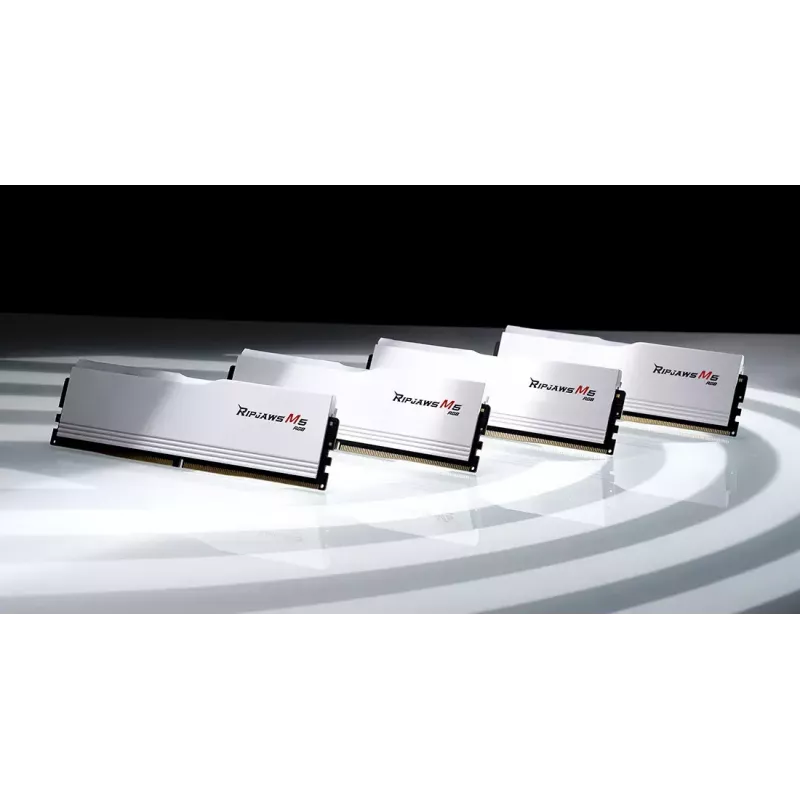 Atminties modulis G.Skill DDR5 96GB 5600MHz 2x48GB