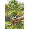 Gardena VeggieCut genėjimo žirklės juodos žalios nerūdijančio plieno ašmenys