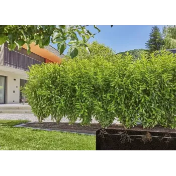 Lašelinė laistymo sistema Gardena 13500-20