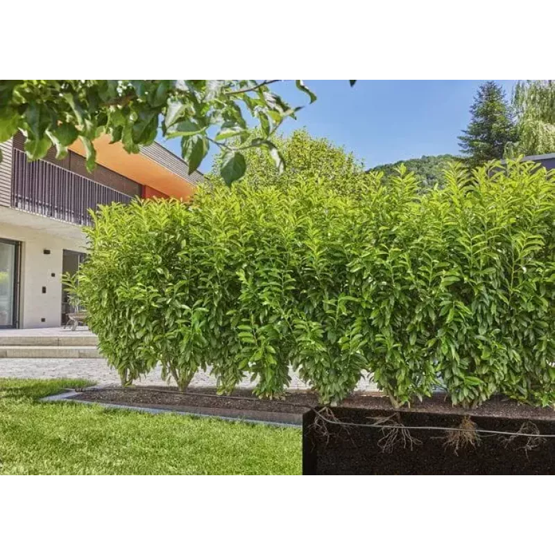 Gardena 13503-20 sodo žarna 25 m, požeminė, juoda