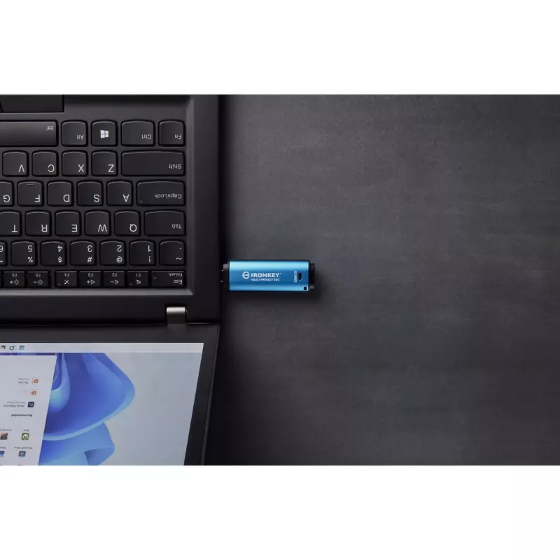 Kingston Technology IronKey 256 GB USB-C Vault Privacy 50C AES-256 šifruotas, FIPS 197