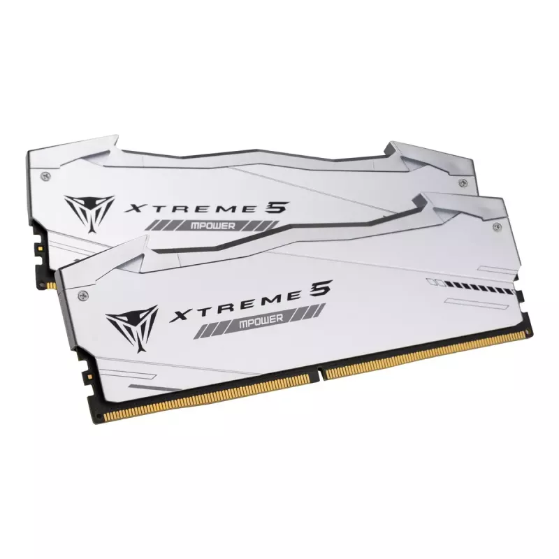 Atminties modulis Patriot 32 GB 2x16 GB DDR5 ECC 288 kontaktų DIMM