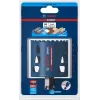 Bosch EXPERT skylių pjūklas 1 vnt.