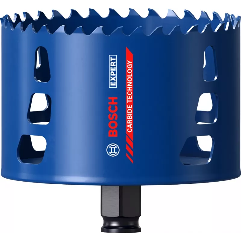 Bosch EXPERT skylių pjūklas 1 vnt.
