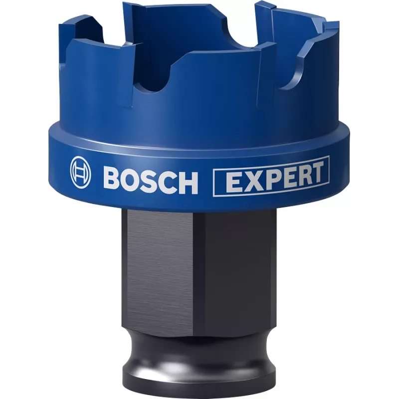 Bosch Expert 2608900496 gręžimo skylių pjūklas 1 vnt.