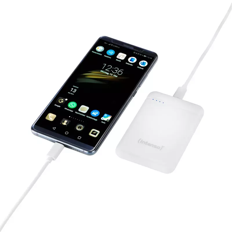Intenso 7313522 išorinė baterija ličio polimerų 5000 mAh