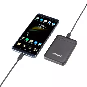 Intenso 7313520 išorinė baterija 5000 mAh