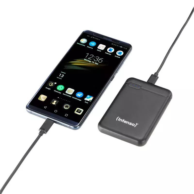 Intenso 7313520 išorinė baterija 5000 mAh