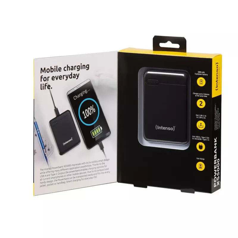 Intenso 7313520 išorinė baterija 5000 mAh