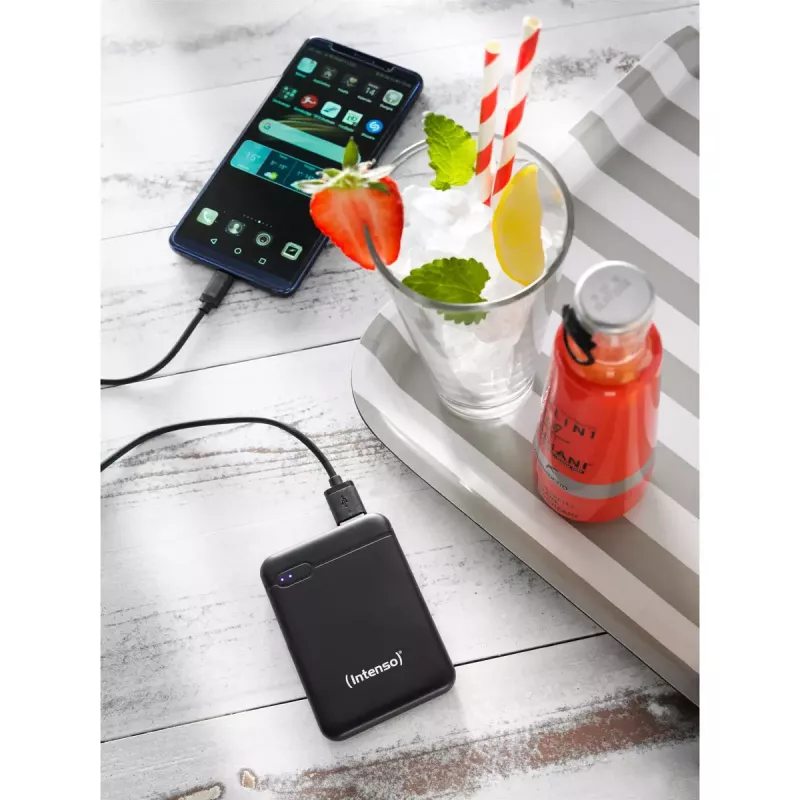 Intenso 7313520 išorinė baterija 5000 mAh