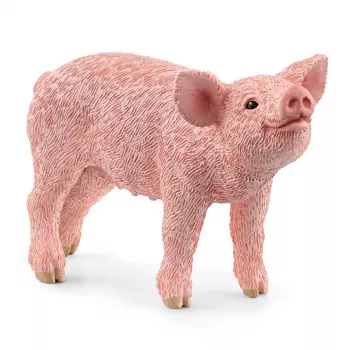 schleich FARM WORLD Paršelis, 3 m., Ūkis, Ūkio gyvūnai / ūkio žaislai, Rožinė, Plastikas