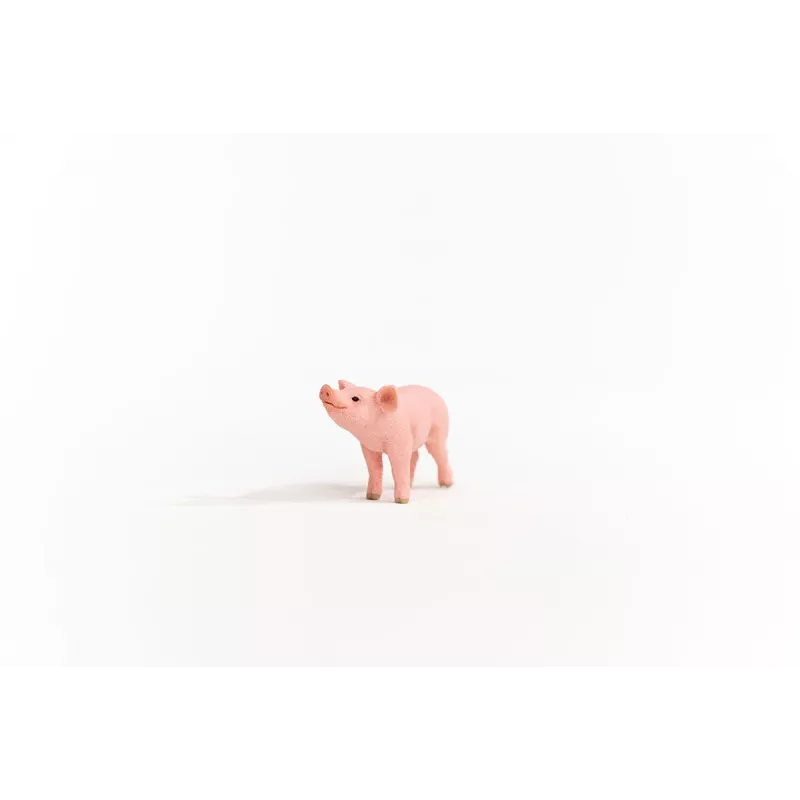 schleich FARM WORLD Paršelis, 3 m., Ūkis, Ūkio gyvūnai / ūkio žaislai, Rožinė, Plastikas